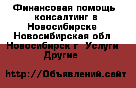 Финансовая помощь, консалтинг в Новосибирске - Новосибирская обл., Новосибирск г. Услуги » Другие   